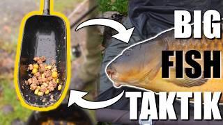 ️ Karpfenangler Tipps & Tricks am Vereinspool | Instant Köder - Jan Brauns | Naturebaits | Winter