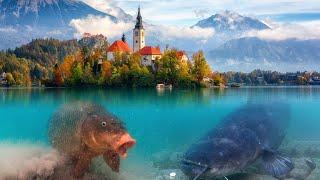 Catching big fish underwater in the most beautiful lake