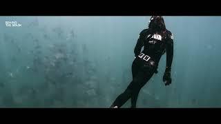 Mobula Madness Sea of Cortez #Mobulas #SeaOfCortez #Liveaboard