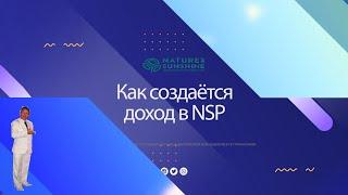 Как создаётся доход в NSP.