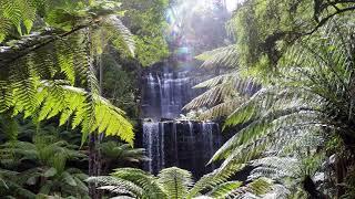 Tasmania, Australia Screensaver