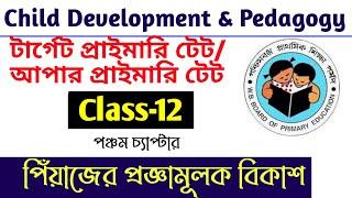 Piaget's Cognitive Development || Schema, Accomodation, Assimilation, Accomodation,CDP By S.Sk
