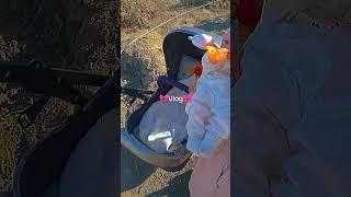 Baby born,Yolo baby️