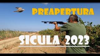 CACCIA:PREAPERTURA SICULA 2023- DOVE HUNTING-CHASSE TOURTERELLE-ULTRA HD -4K