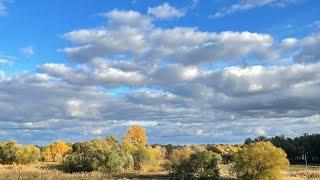 Прямая трансляция Дедушка Аргентинца