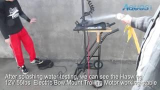 haswing electric trolling motor waterproof test