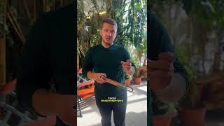 Готовим бойлер к летнему сезону! 