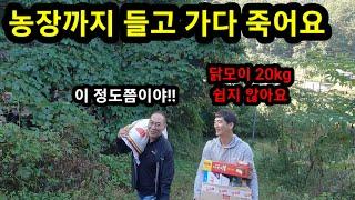 외모는 건달 같지만 심성은 소녀 같은 한베커플 유튜버님 농장 방문[한국에 사는 라오스 여자]