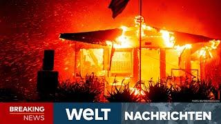 LOS ANGELES: "Es ist wie Armageddon!" Höllenfeuer wütet! So etwas gab es vorher noch nie! I STREAM