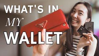 What's in My Wallet? Unveiling My Everyday Credit Cards and Essentials