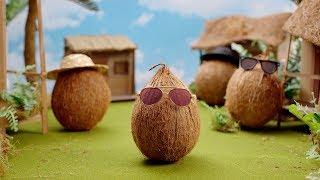 The Truth About Coconut? It Isn't a Nut | Presented by Véa