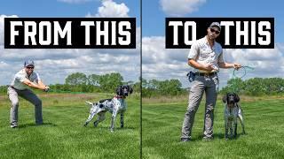 Leash Manners Made Easy: This Trick Changes Everything