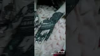 Beautiful Mehndi Design | Henna Design | Hamna Khan Vlogs