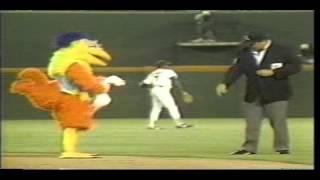 San Diego Chicken-Shoe Shine