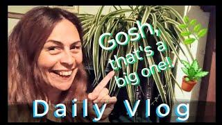 DAY OF THE TRIFFIDS & LAMP FAILURES - Daily Lifestyle Vlog: 6/10/24 in which I get new houseplants!