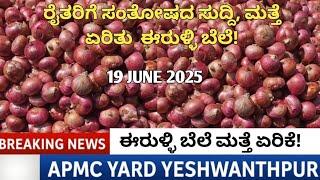 19 June 2025 onion rate hike | Bangalore Yeshwantpur market | today APMC market rate | onion rate