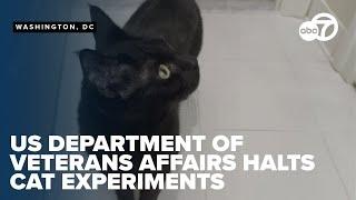 Cat experiments stopped at U.S. Department of Veterans Affairs