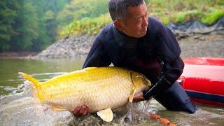 I Harvested a Hidden Mud Pond with Expensive Fish