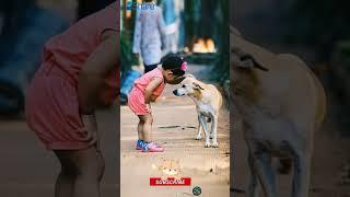 Girl gently petted the dog and Hugs Her Dog with Love 