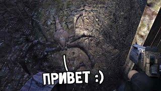 Очередная Встреча с Пауками - STALKER Зона Поражения. Новая эра. #5