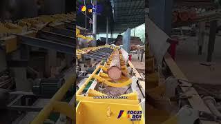 Plywood veneer machine/automatic wood logs cutting saw #machine #woodfurnituremakingmachine#veneers