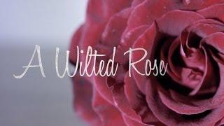 A Wilted Rose - Short Film