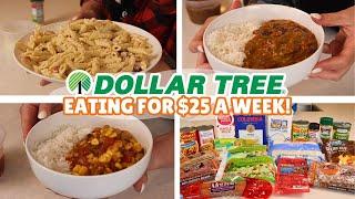 Eating for a Week on $25 from Dollar Tree | Episode 2: Final Cooking Days + Leftovers Begin