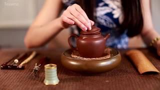 Yunnan Pu Erh Tea Cake - Steeping Authentic Puer Tea by Teasenz