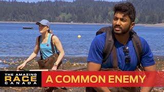 The Racers Band Against A Common Enemy (The Amazing Race Canada S7)