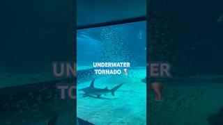 Underwater Tornado️ #tornado #storm #shorts