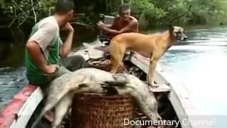 The Discovery Of The Unknown [Documentary Channel 2017]