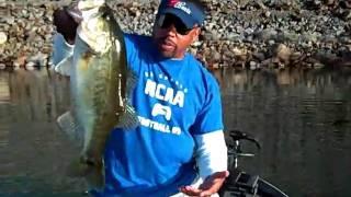 5.8 LB Blade Fish