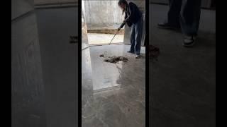 It is much more convenient to have this magic mop #viralvideo #shorts