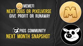 MEMEFI Will Be Legit or Scam us | PIGS Snapshot in November #memfi #pigs #listing