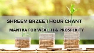 Shreem Brzee Mantra 1 Hour Chant | Mantra For Wealth Consciousness | Pillai Center