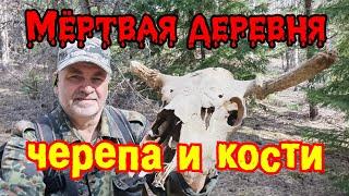 Здесь везде повсюду черепа и кости  Мёртвая деревня, заходите в гости