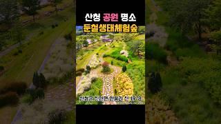 산청 공원 명소 둔철생태체험숲 #산청군 #2025산청방문의해 #공보형 #둔철산 #둔철산천문대 #산청여행 #경남여행 #자연풍경 #여름꽃 #꽃구경 #정취암 #경치좋은곳 #여행