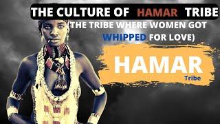 The Hamar tribe Society and culture | facts of the Hamar tribe - not sexual, not Himba tribe