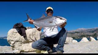 Fishing Amberjack off the rocks, Fishing Greece