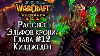 РЕЙД НА КИЛДЖЕДЕНА: Истории Мира Warcraft :: Warcraft 3 Рассвет эльфов крови