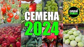 Мой выбор СЕМЯН на 2024