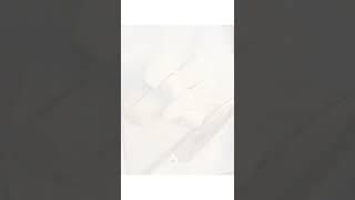 새우탕끓이기 저녁메뉴(동백하생새우)#새우탕#새우매운탕
