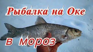 Зимняя рыбалка на Оке в мороз.