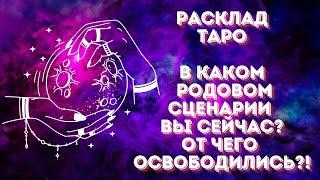 В каком родовом сценарии вы сейчас?!  От чего освободились?