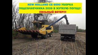 NEW HOLLAND CS 6090 УБОРКА ПОДСОЛНЕЧНИКА 2020 В ЖУТКУЮ ПОГОДУ.