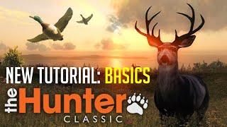 theHunter Classic Tutorial: The Basics