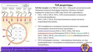 TLRs - Toll-подобные рецепторы