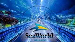 Top Things to Do at SeaWorld Orlando You Can’t Miss!