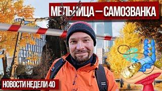 Дом против хорды | Ужасы Ховрино