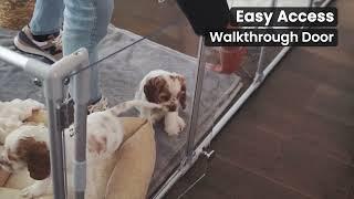 Clearly Loved Pets Dog Pen in Action | Cute Dogs Enjoying Their New Home | Puppy PENthouse